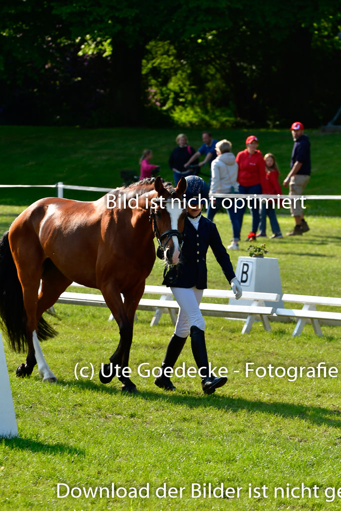 Goldene Schärpe Ponys in Hohen Luckow 1-4.6.23 | 04062023 -  Vormustern _183 