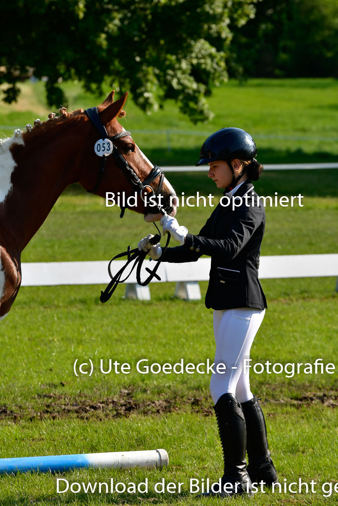 Goldene Schärpe Ponys in Hohen Luckow 1-4.6.23 | 04062023 -  Vormustern _184 