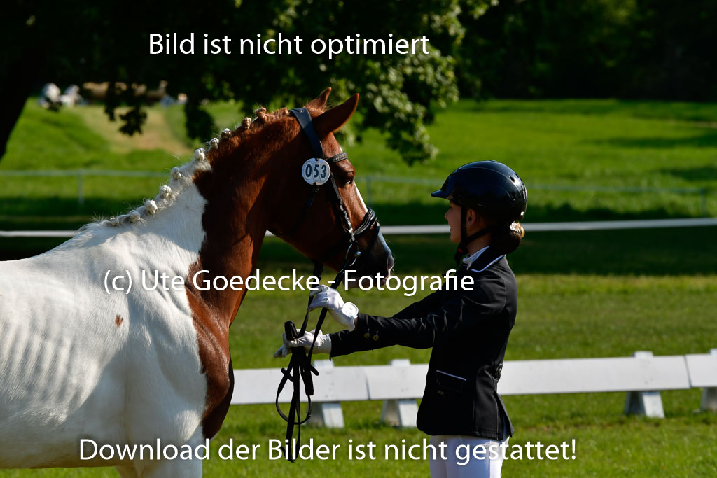 Goldene Schärpe Ponys in Hohen Luckow 1-4.6.23 | 04062023 -  Vormustern _186 