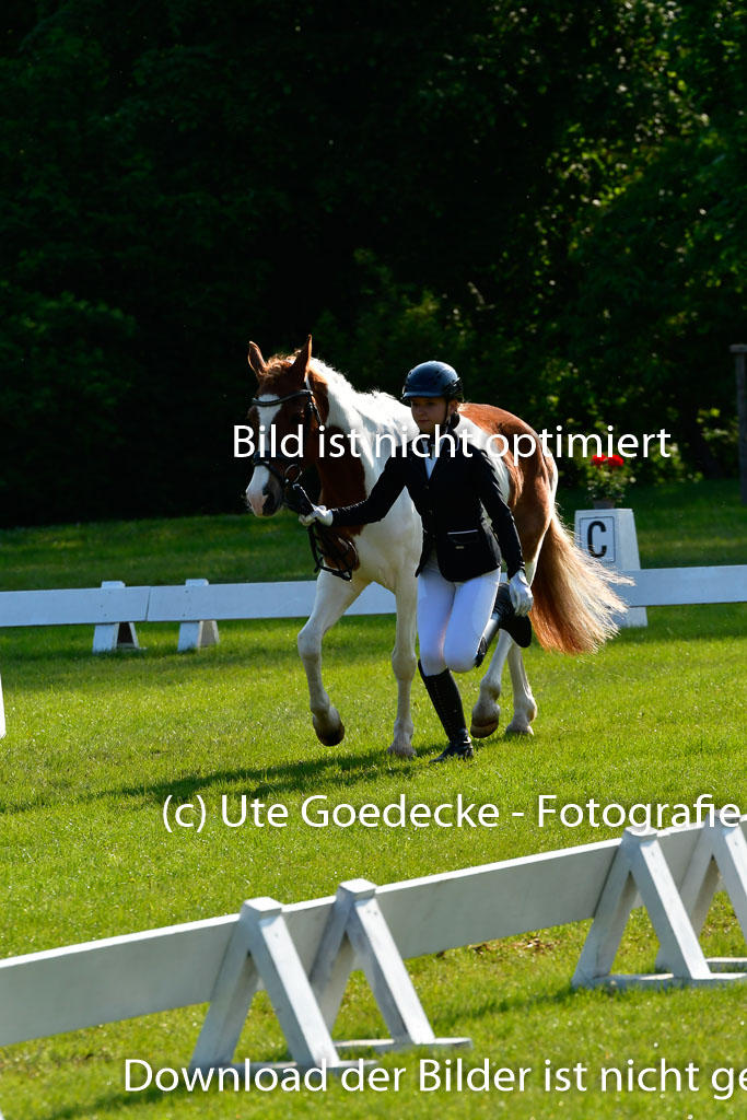 Goldene Schärpe Ponys in Hohen Luckow 1-4.6.23 | 04062023 -  Vormustern _187 