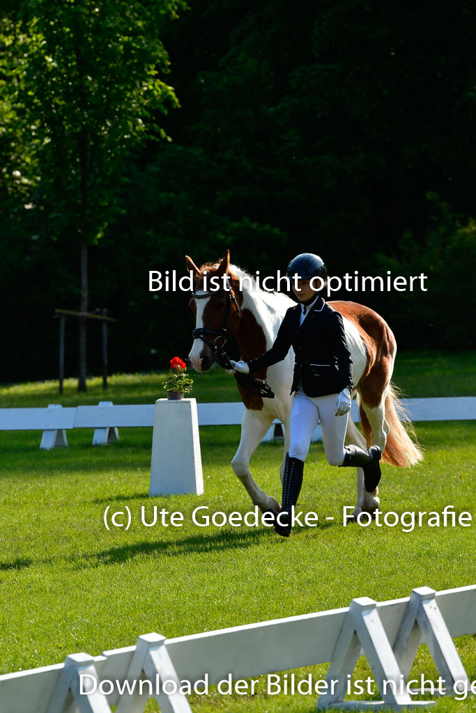 Goldene Schärpe Ponys in Hohen Luckow 1-4.6.23 | 04062023 -  Vormustern _188 