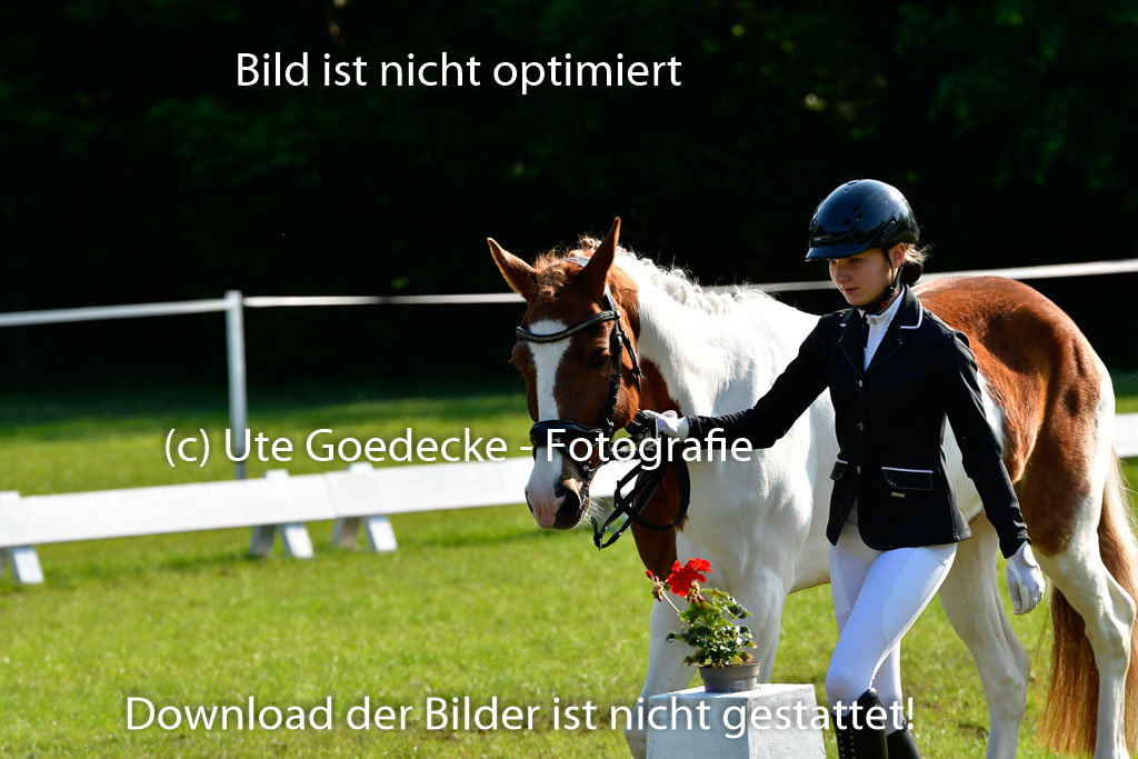 Goldene Schärpe Ponys in Hohen Luckow 1-4.6.23 | 04062023 -  Vormustern _189 