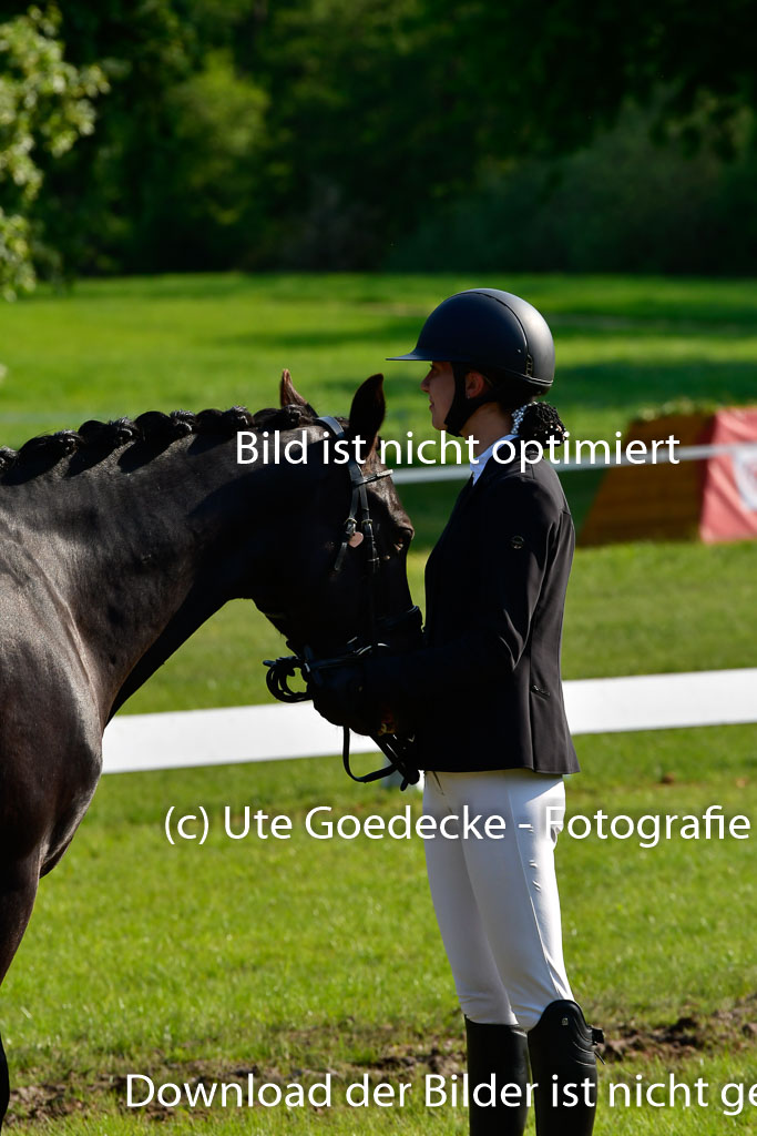 Goldene Schärpe Ponys in Hohen Luckow 1-4.6.23 | 04062023 -  Vormustern _190 