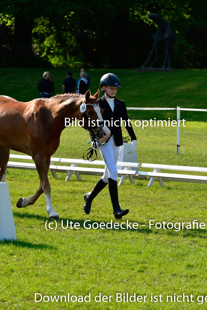 Goldene Schärpe Ponys in Hohen Luckow 1-4.6.23 | 04062023 -  Vormustern _192 