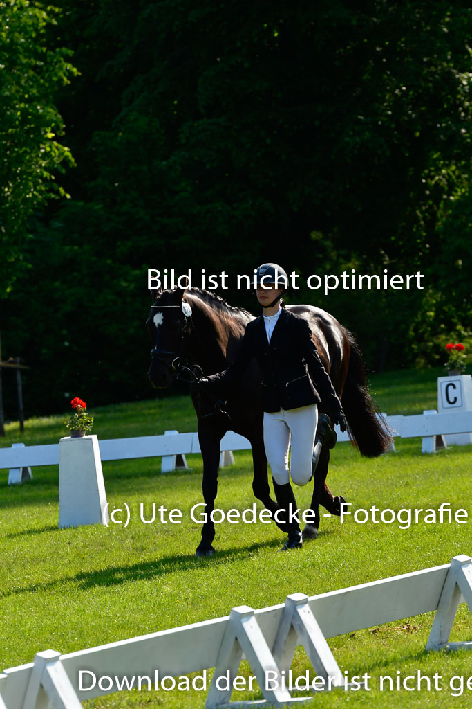 Goldene Schärpe Ponys in Hohen Luckow 1-4.6.23 | 04062023 -  Vormustern _193 