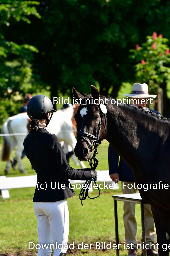 Goldene Schärpe Ponys in Hohen Luckow 1-4.6.23 | 04062023 -  Vormustern _194 