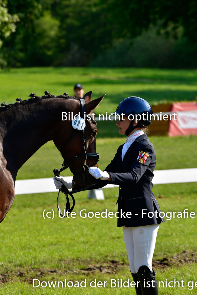 Goldene Schärpe Ponys in Hohen Luckow 1-4.6.23 | 04062023 -  Vormustern _195 