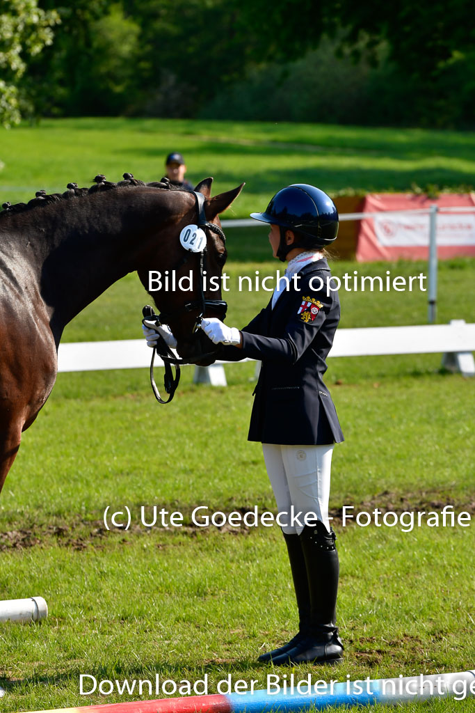 Goldene Schärpe Ponys in Hohen Luckow 1-4.6.23 | 04062023 -  Vormustern _196 