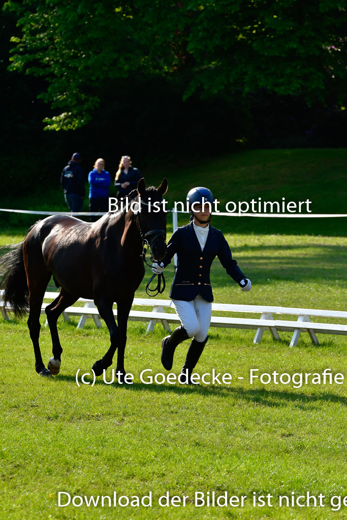 Goldene Schärpe Ponys in Hohen Luckow 1-4.6.23 | 04062023 -  Vormustern _197 