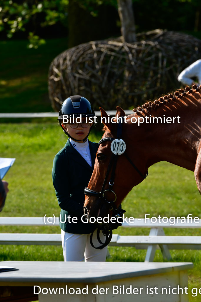 Goldene Schärpe Ponys in Hohen Luckow 1-4.6.23 | 04062023 -  Vormustern _201 