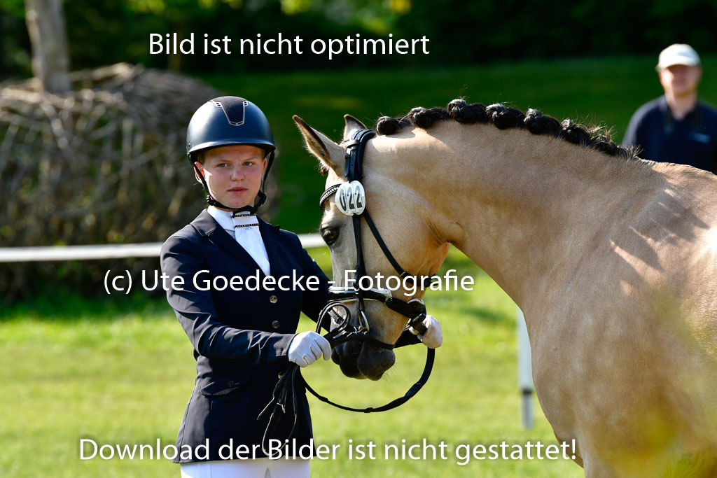 Goldene Schärpe Ponys in Hohen Luckow 1-4.6.23 | 04062023 -  Vormustern _208 