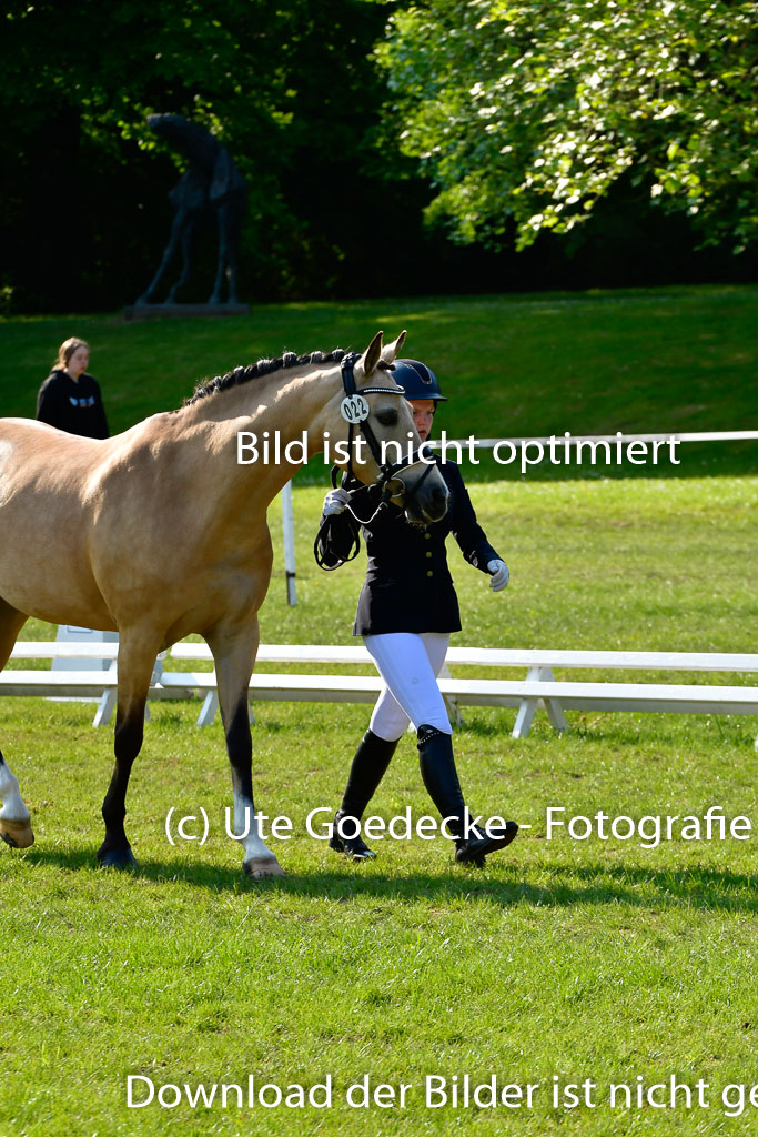 Goldene Schärpe Ponys in Hohen Luckow 1-4.6.23 | 04062023 -  Vormustern _210 