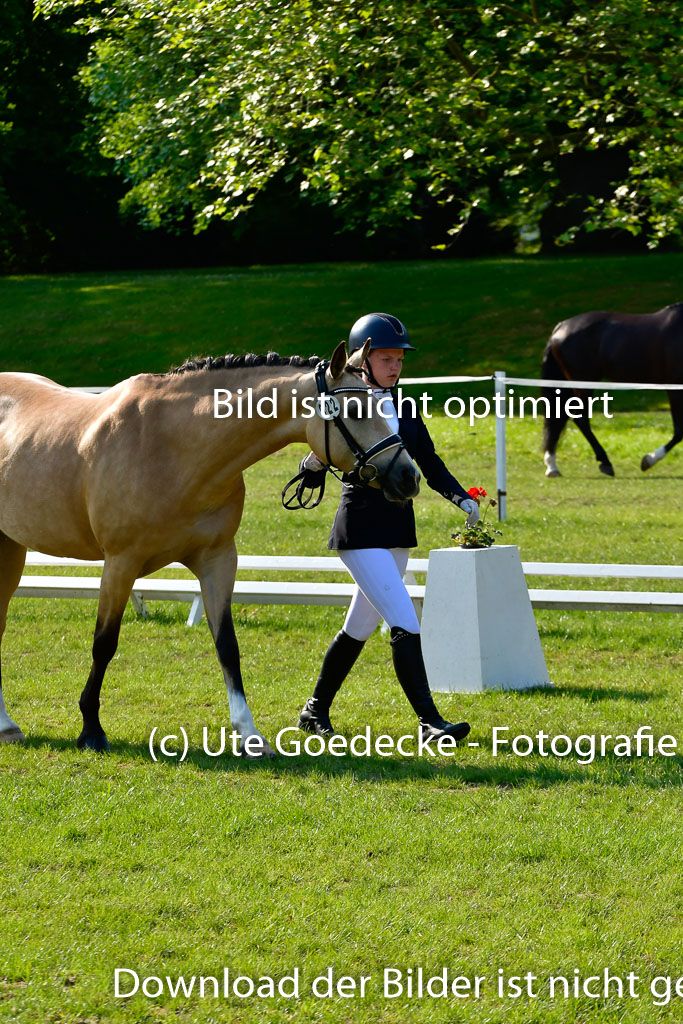 Goldene Schärpe Ponys in Hohen Luckow 1-4.6.23 | 04062023 -  Vormustern _211 