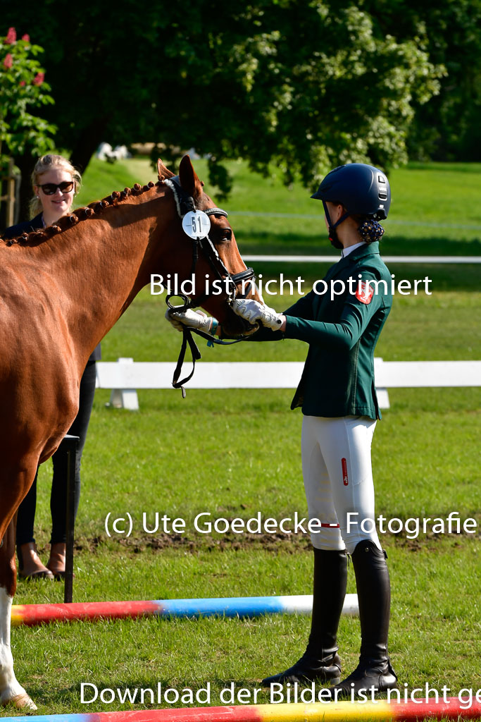 Goldene Schärpe Ponys in Hohen Luckow 1-4.6.23 | 04062023 -  Vormustern _213 