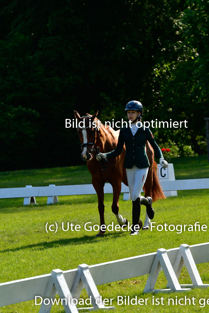 Goldene Schärpe Ponys in Hohen Luckow 1-4.6.23 | 04062023 -  Vormustern _214 