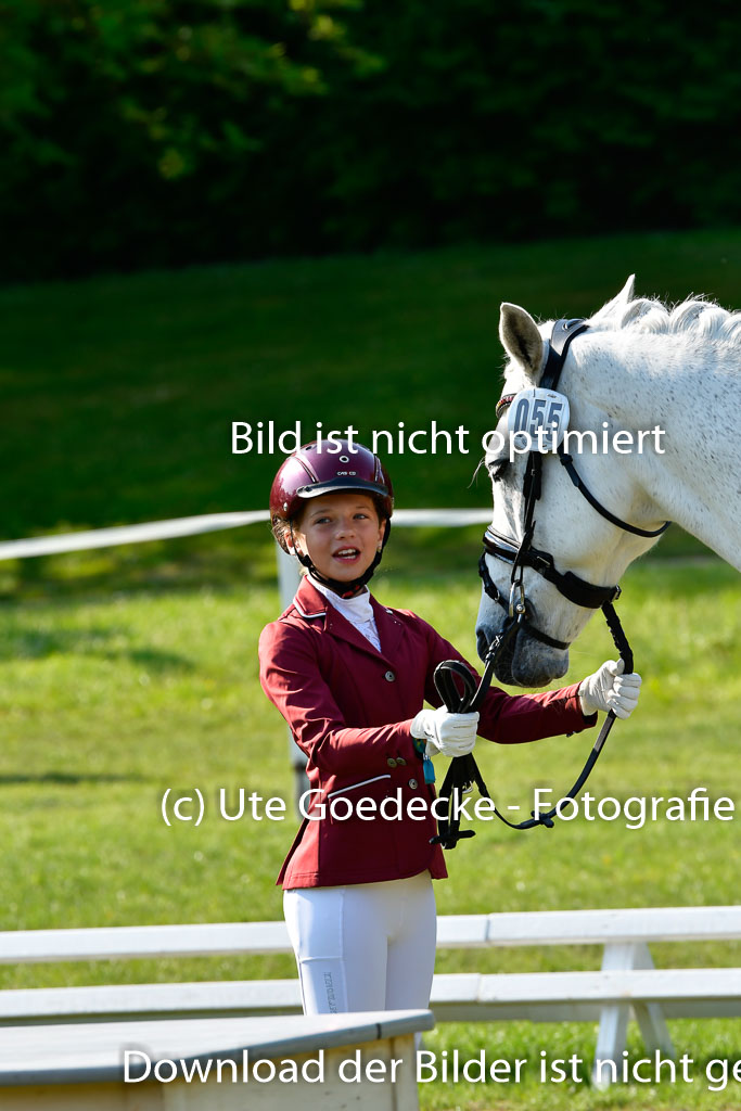 Goldene Schärpe Ponys in Hohen Luckow 1-4.6.23 | 04062023 -  Vormustern _221 