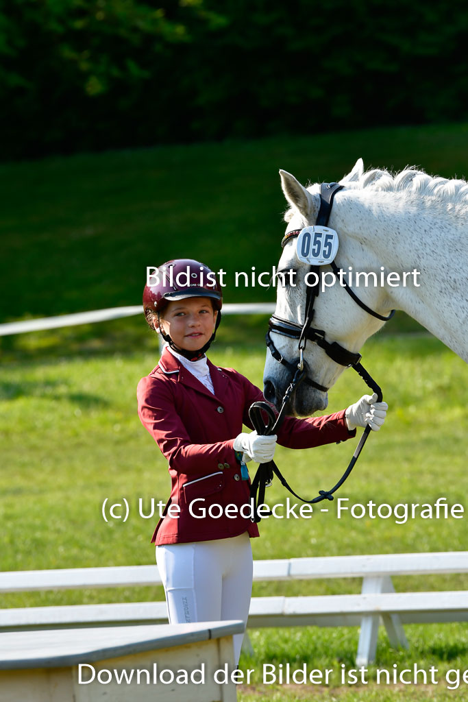 Goldene Schärpe PFerde in Hohen Luckow 1-4.6.23 | 04062023 -  Vormustern _222 