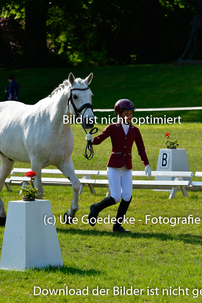 Goldene Schärpe Ponys in Hohen Luckow 1-4.6.23 | 04062023 -  Vormustern _225 