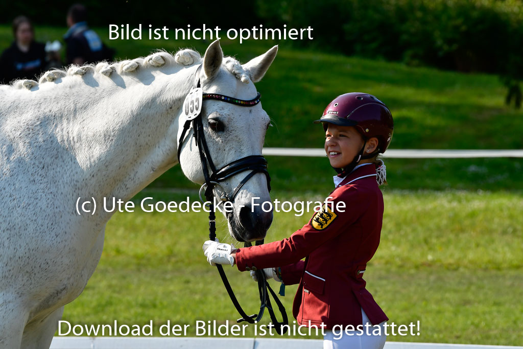 Goldene Schärpe Ponys in Hohen Luckow 1-4.6.23 | 04062023 -  Vormustern _226 