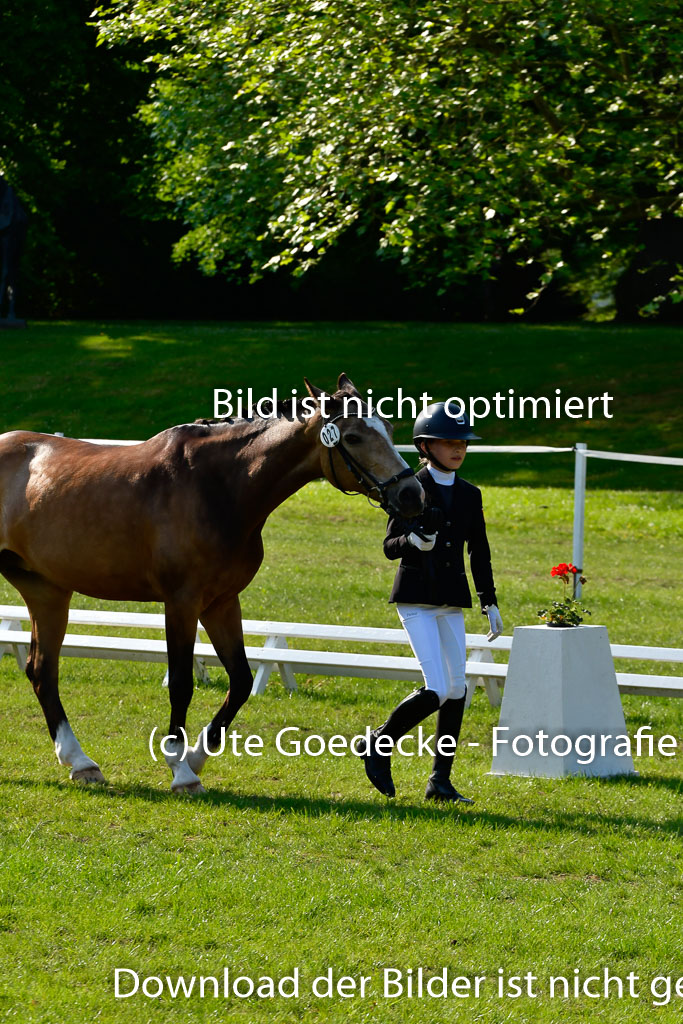 Goldene Schärpe Ponys in Hohen Luckow 1-4.6.23 | 04062023 -  Vormustern _228 