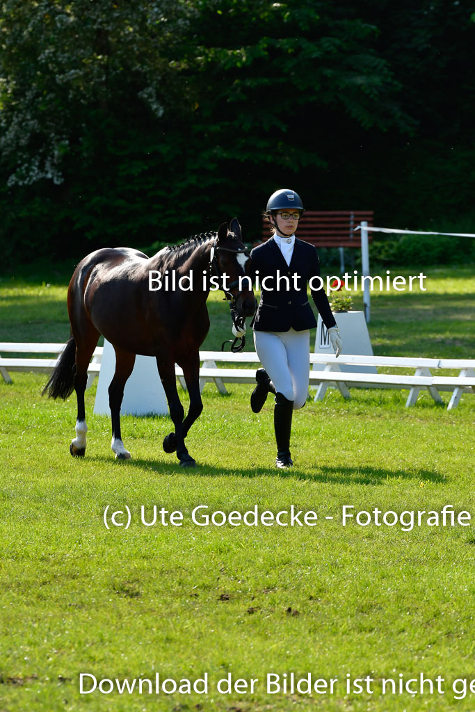 Goldene Schärpe Ponys in Hohen Luckow 1-4.6.23 | 04062023 -  Vormustern _231 