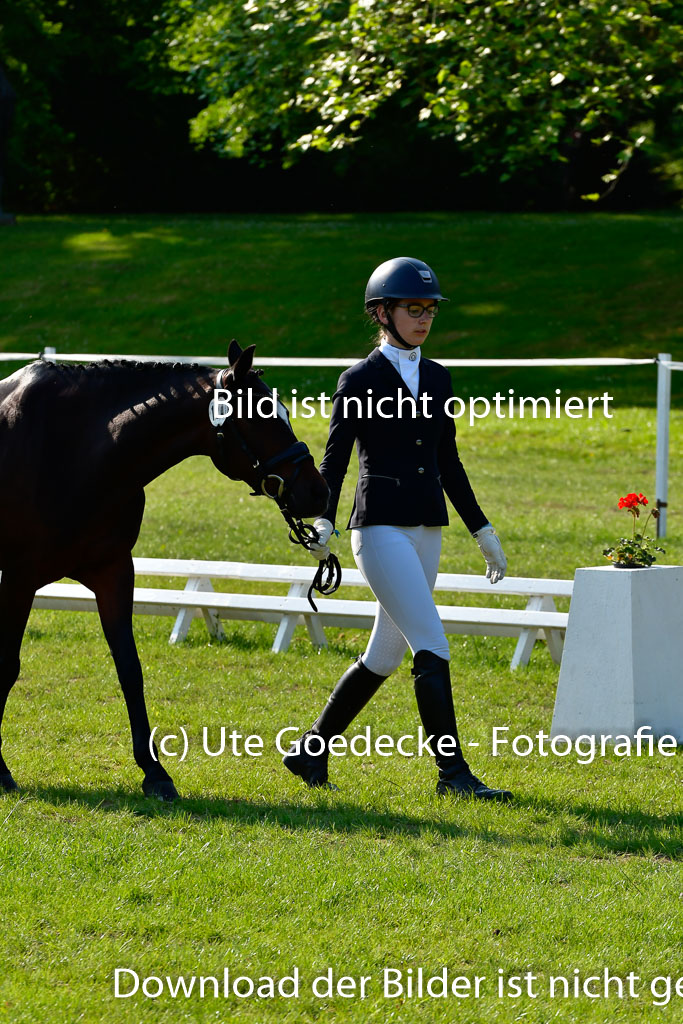 Goldene Schärpe Ponys in Hohen Luckow 1-4.6.23 | 04062023 -  Vormustern _232 