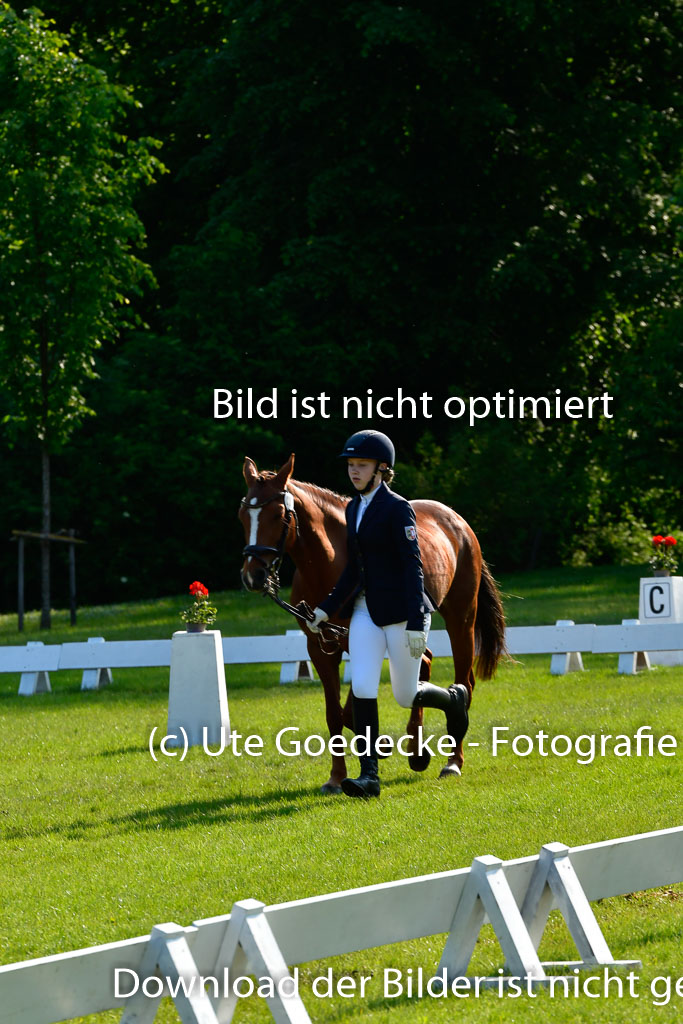 Goldene Schärpe Ponys in Hohen Luckow 1-4.6.23 | 04062023 -  Vormustern _233 