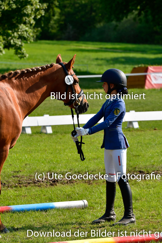 Goldene Schärpe Ponys in Hohen Luckow 1-4.6.23 | 04062023 -  Vormustern _235 