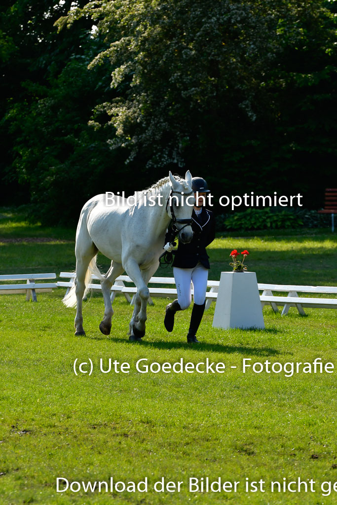 Goldene Schärpe Ponys in Hohen Luckow 1-4.6.23 | 04062023 -  Vormustern _236 