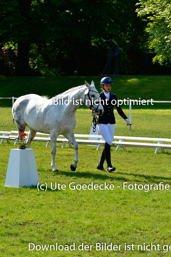 Goldene Schärpe Ponys in Hohen Luckow 1-4.6.23 | 04062023 -  Vormustern _241 