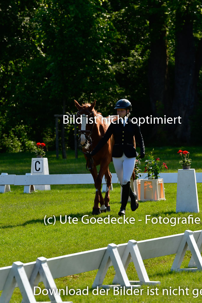 Goldene Schärpe Ponys in Hohen Luckow 1-4.6.23 | 04062023 -  Vormustern _243 