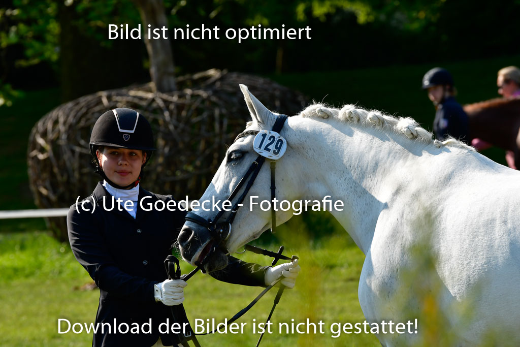 Goldene Schärpe Ponys in Hohen Luckow 1-4.6.23 | 04062023 -  Vormustern _244 