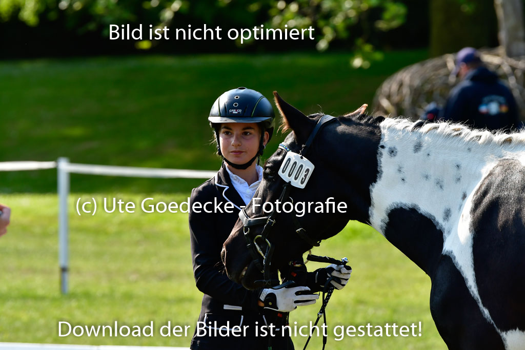 Goldene Schärpe Ponys in Hohen Luckow 1-4.6.23 | 04062023 -  Vormustern _248 