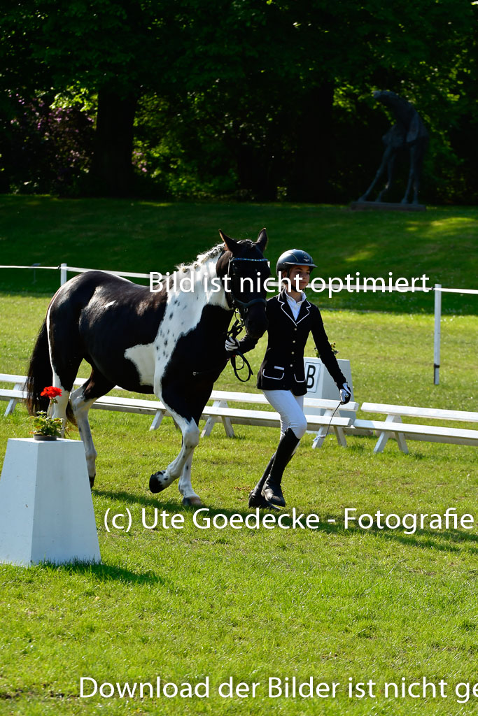 Goldene Schärpe Ponys in Hohen Luckow 1-4.6.23 | 04062023 -  Vormustern _251 