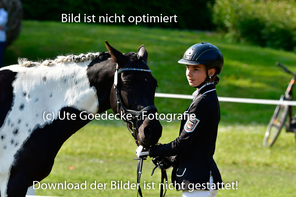 Goldene Schärpe Ponys in Hohen Luckow 1-4.6.23 | 04062023 -  Vormustern _252 