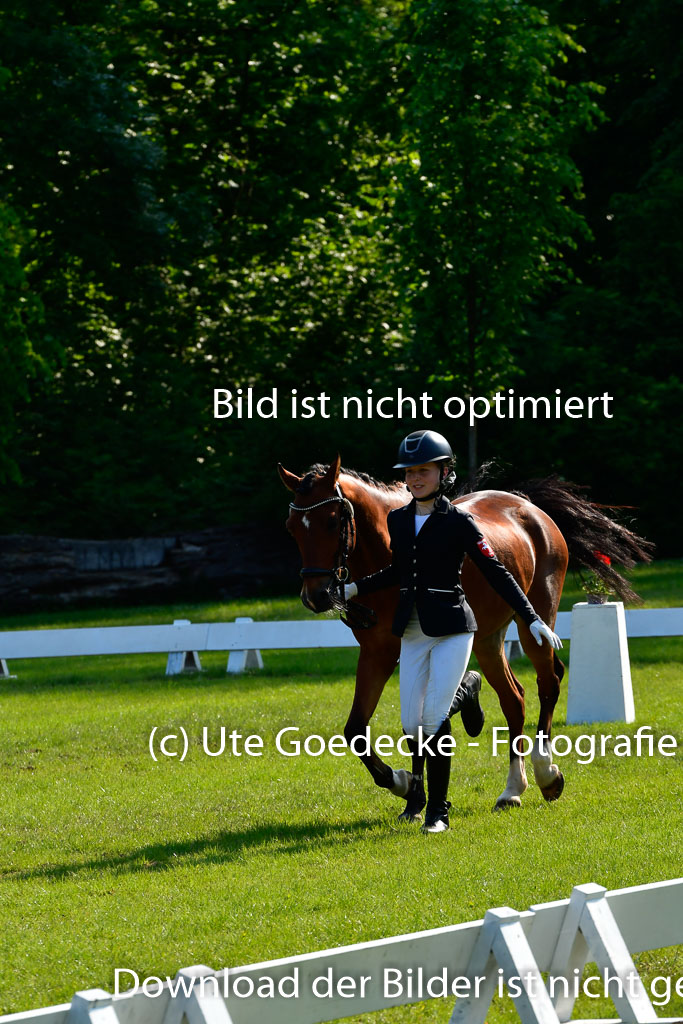 Goldene Schärpe Ponys in Hohen Luckow 1-4.6.23 | 04062023 -  Vormustern _255 