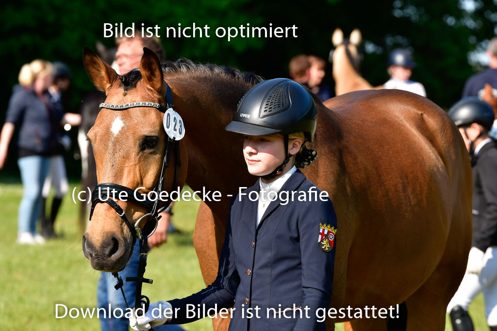 Goldene Schärpe Ponys in Hohen Luckow 1-4.6.23 | 04062023 -  Vormustern _258 