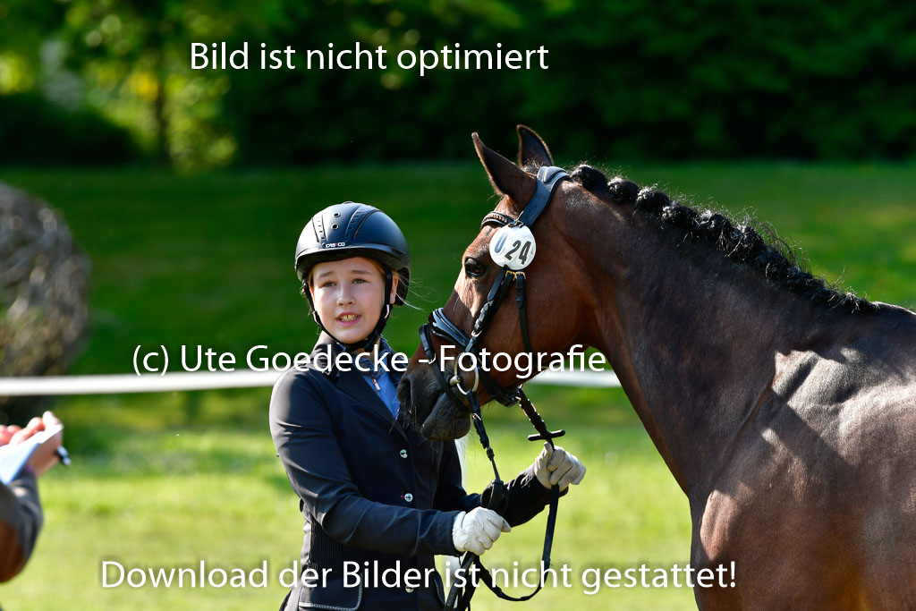 Goldene Schärpe Ponys in Hohen Luckow 1-4.6.23 | 04062023 -  Vormustern _263 