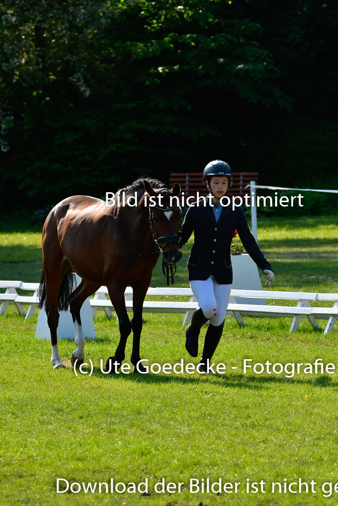 Goldene Schärpe Ponys in Hohen Luckow 1-4.6.23 | 04062023 -  Vormustern _267 