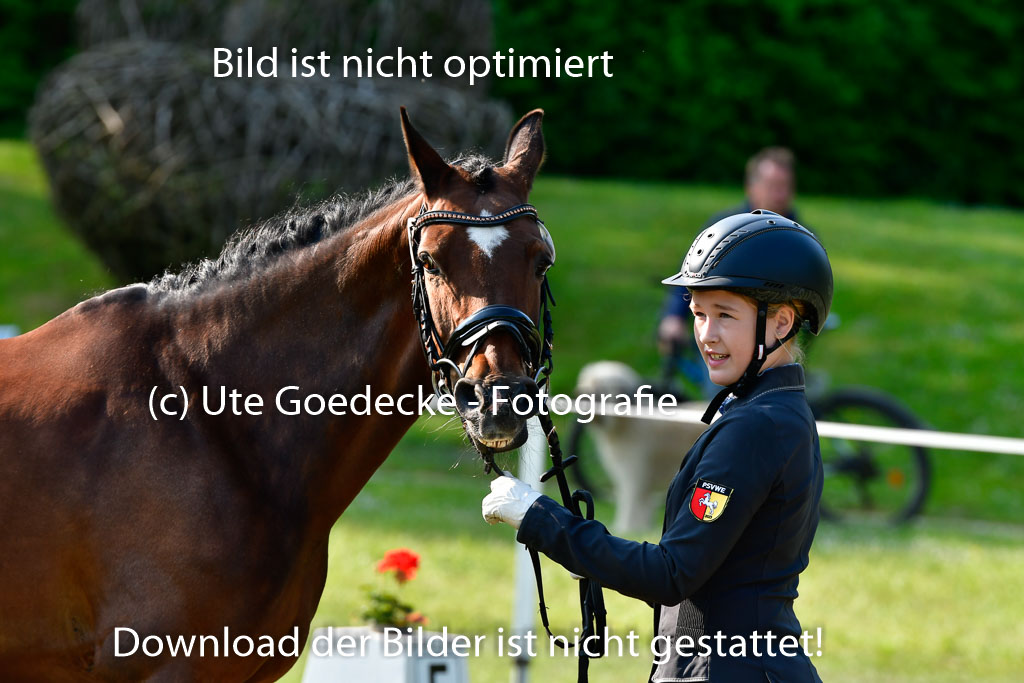 Goldene Schärpe Ponys in Hohen Luckow 1-4.6.23 | 04062023 -  Vormustern _269 