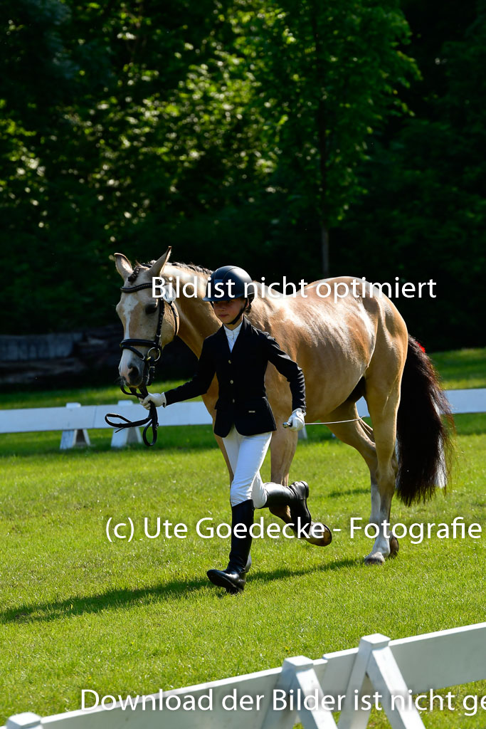 Goldene Schärpe Ponys in Hohen Luckow 1-4.6.23 | 04062023 -  Vormustern _272 