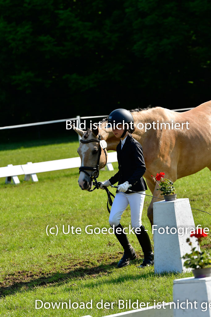 Goldene Schärpe Ponys in Hohen Luckow 1-4.6.23 | 04062023 -  Vormustern _273 