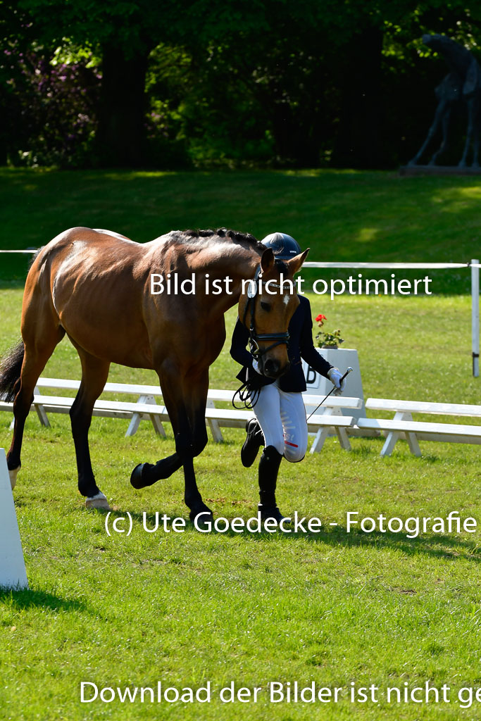 Goldene Schärpe Ponys in Hohen Luckow 1-4.6.23 | 04062023 -  Vormustern _281 