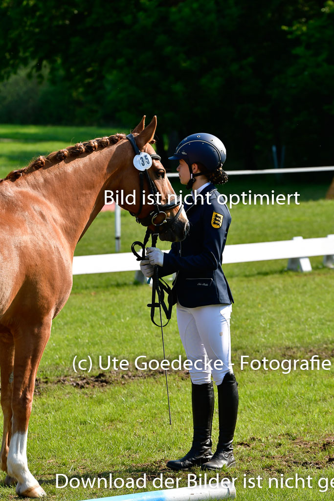 Goldene Schärpe Ponys in Hohen Luckow 1-4.6.23 | 04062023 -  Vormustern _283 