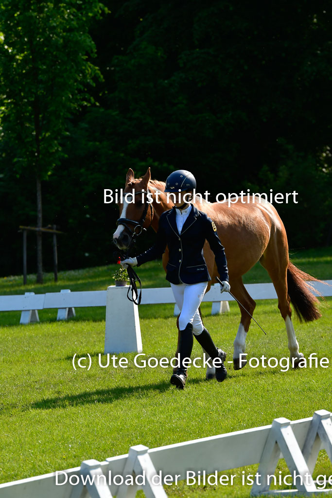 Goldene Schärpe Ponys in Hohen Luckow 1-4.6.23 | 04062023 -  Vormustern _285 