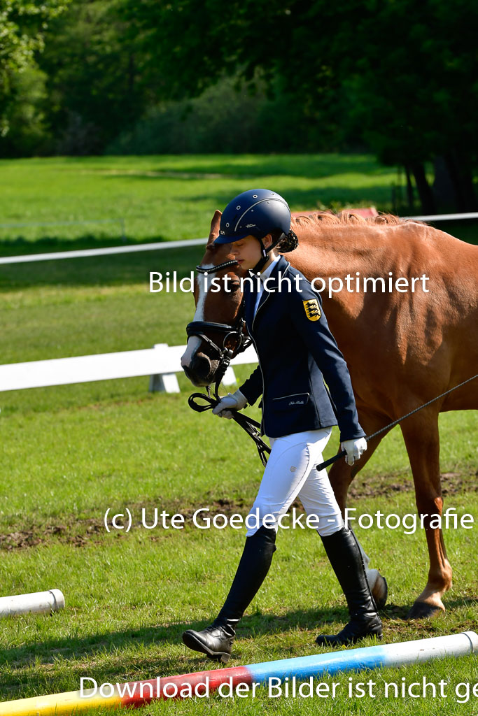 Goldene Schärpe Ponys in Hohen Luckow 1-4.6.23 | 04062023 -  Vormustern _286 