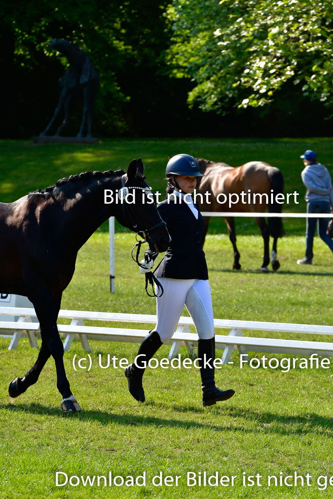 Goldene Schärpe Ponys in Hohen Luckow 1-4.6.23 | 04062023 -  Vormustern _287 