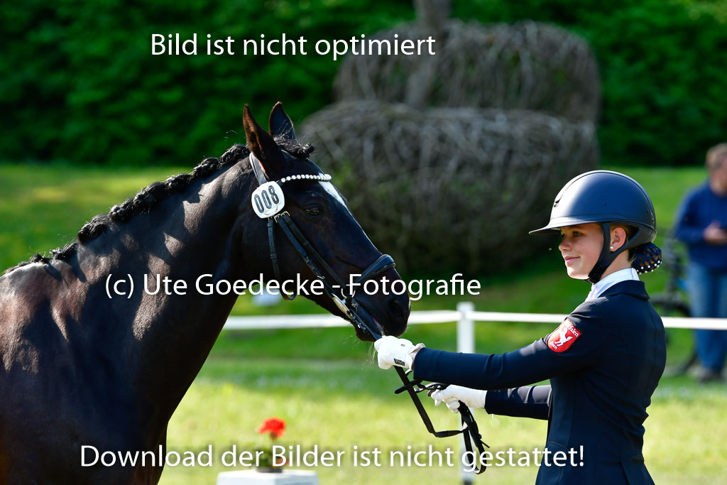 Goldene Schärpe Ponys in Hohen Luckow 1-4.6.23 | 04062023 -  Vormustern _288 