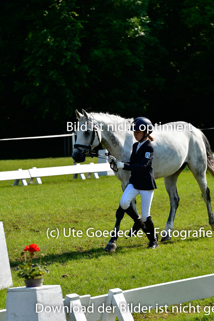 Goldene Schärpe Ponys in Hohen Luckow 1-4.6.23 | 04062023 -  Vormustern _291 