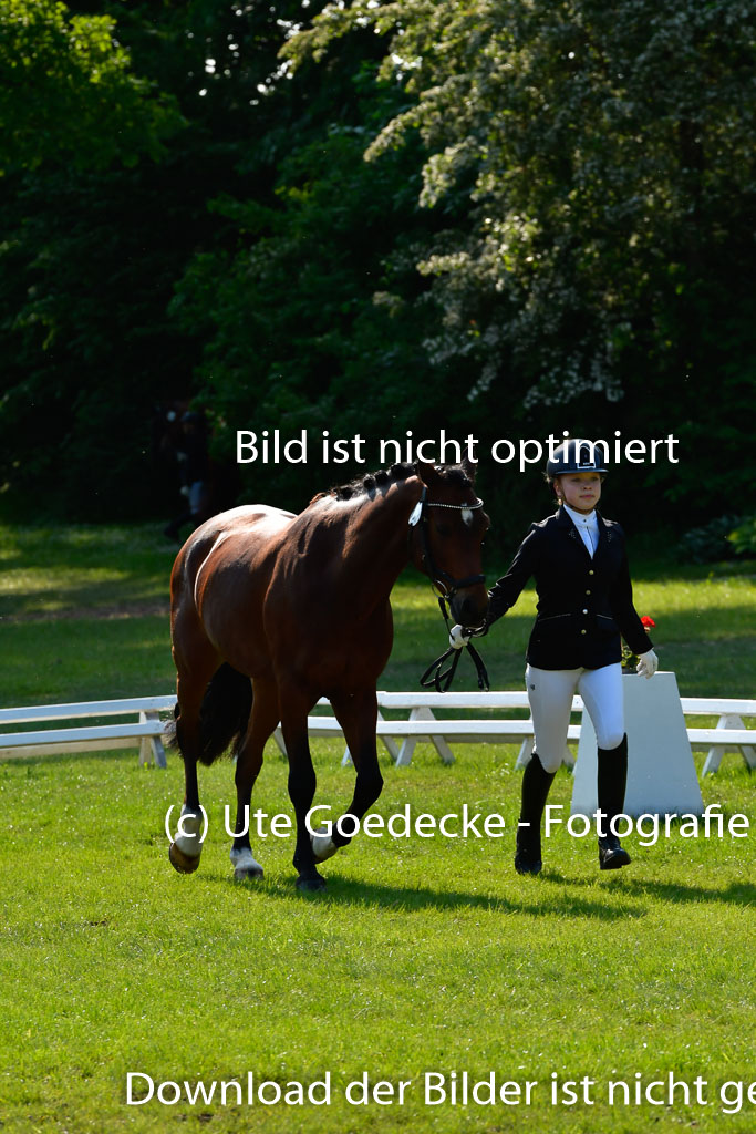 Goldene Schärpe Ponys in Hohen Luckow 1-4.6.23 | 04062023 -  Vormustern _292 